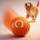 Smart Interactive Dog Ball