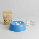 Calming Slow Feeder Dog Bowl
